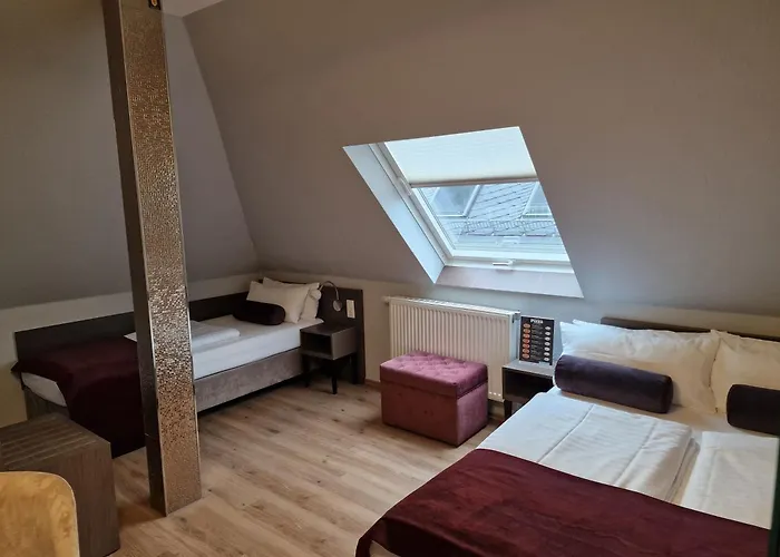 瓦萨帕克竞技场别墅酒店 美因河畔法兰克福