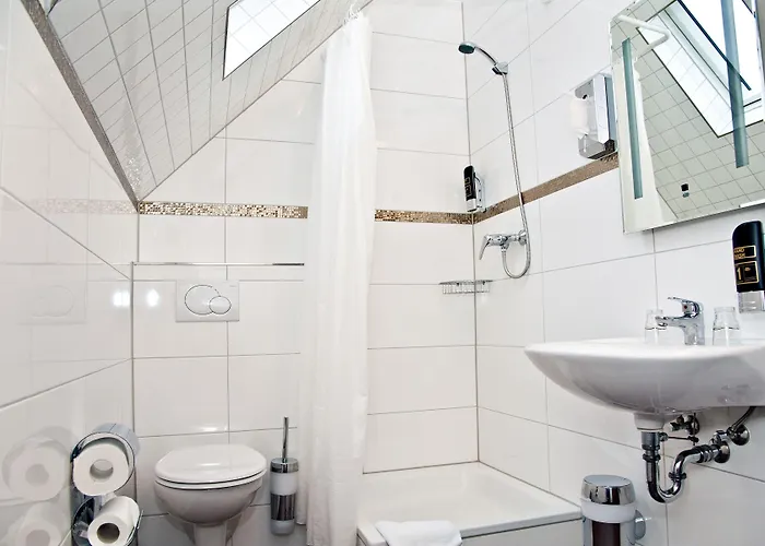 酒店 瓦萨帕克竞技场别墅酒店 美因河畔法兰克福