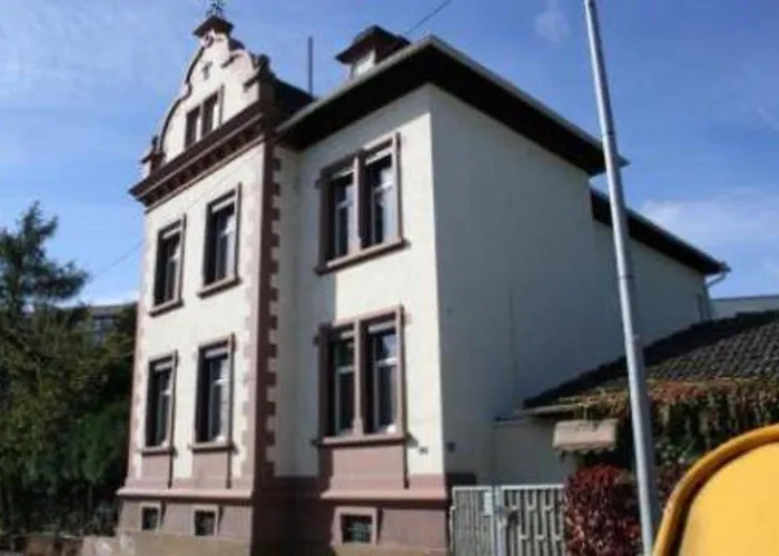 瓦萨帕克竞技场别墅酒店 美因河畔法兰克福